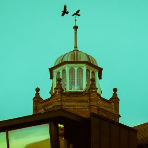 Crows over the museum roof from Gun Cliff Walk, Lyme Regis 27_10_22 (edit)