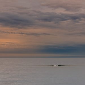 Distant wave at dusk from Church Cliff Walk, Lyme Regis 16_06_21 pano