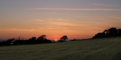 Sunset from field opposite The Mill House, Greyabbey 24_07_21 2 pano