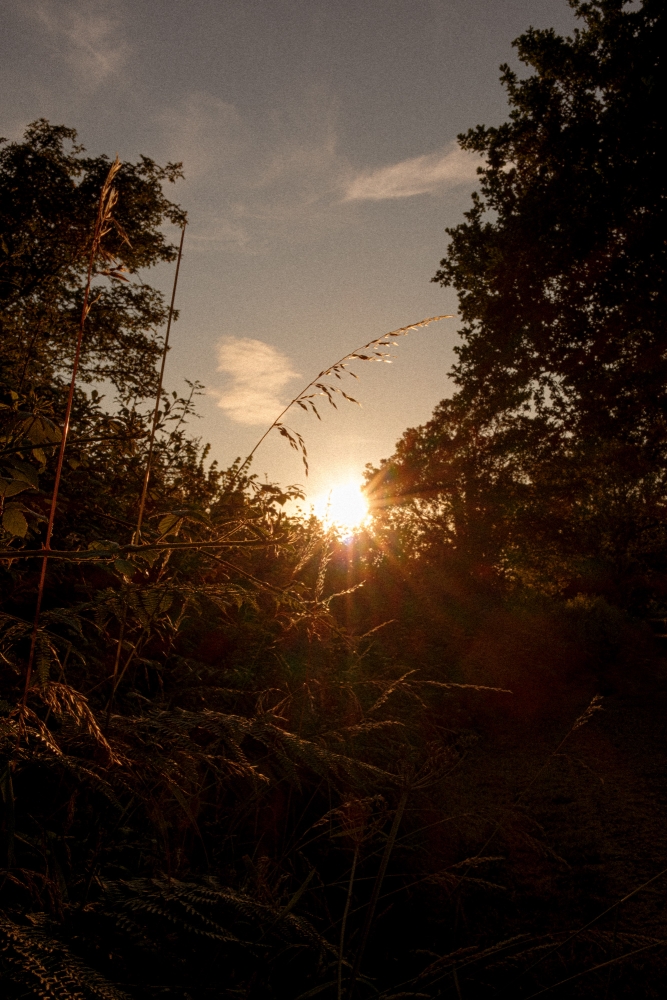 Midsummer Sundowner 2