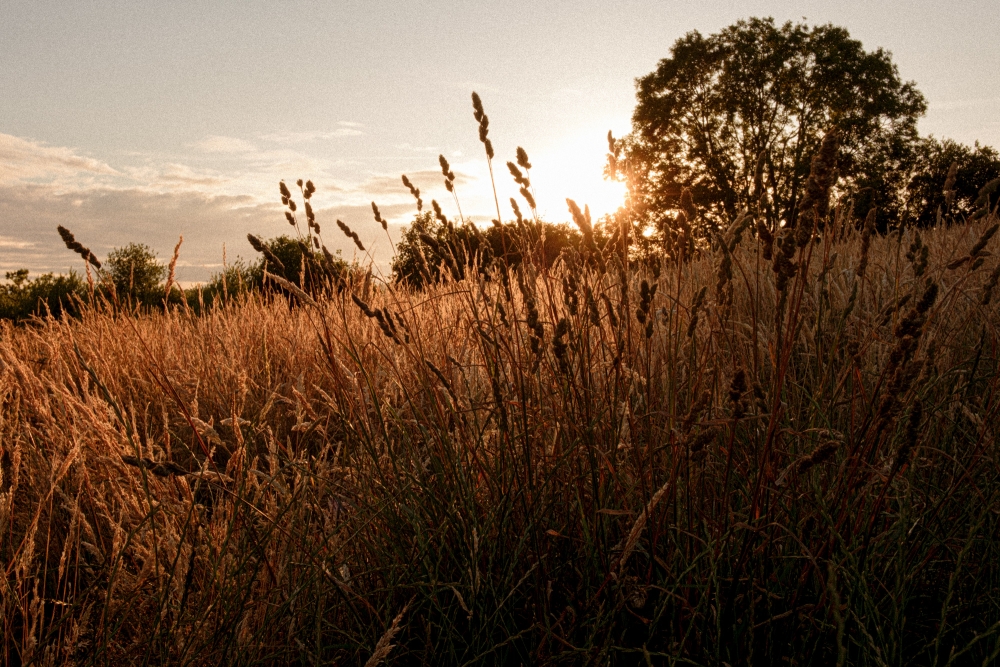 Midsummer Sundowner 1