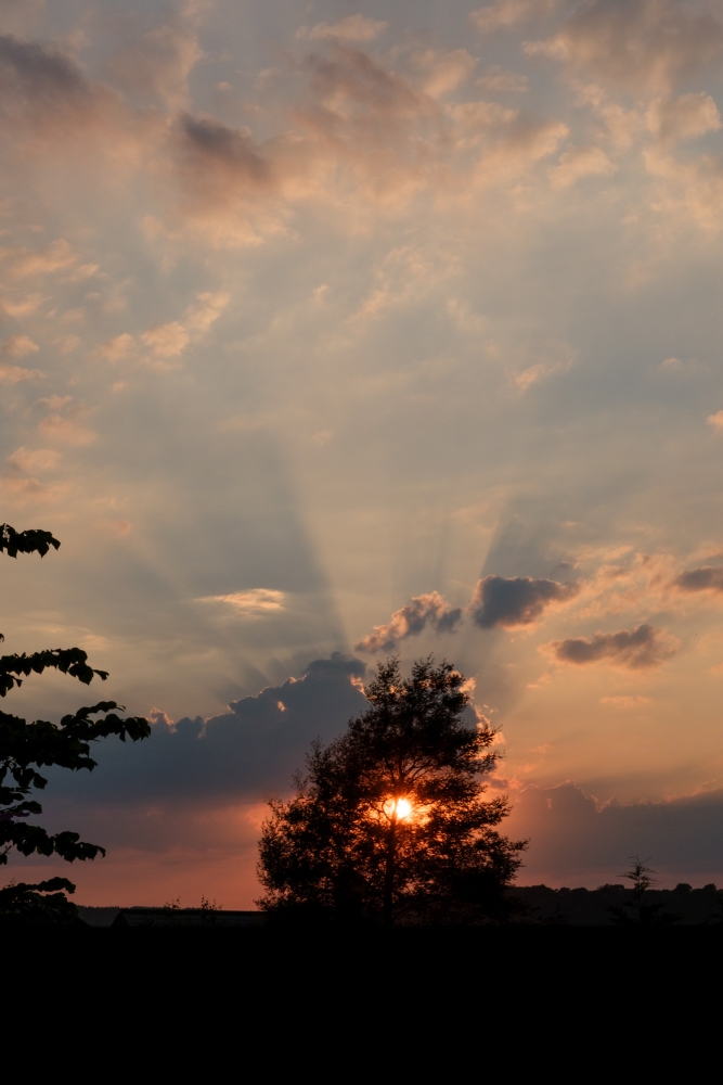 Sunset Fanlight