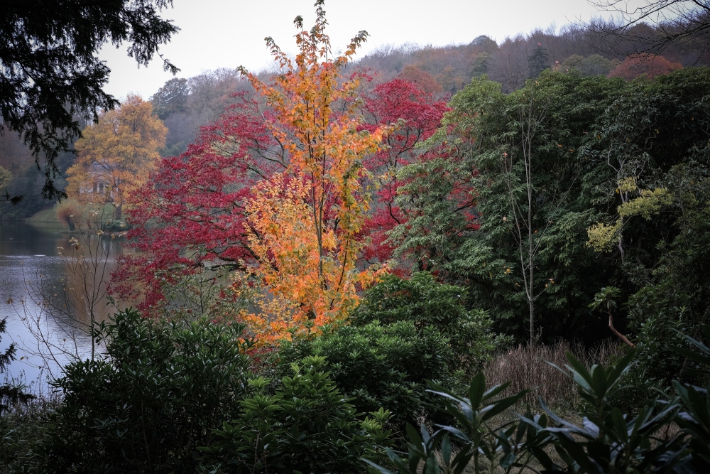 Stourhead Fall