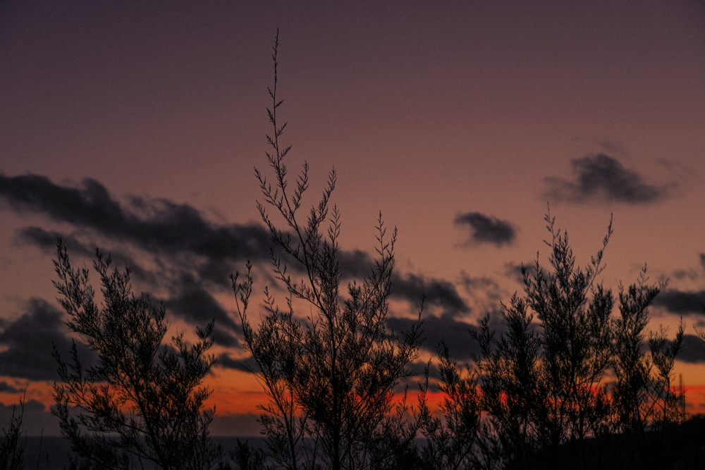 Durlston Head Twilight