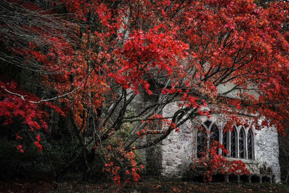 Gothic Cottage Fall 3