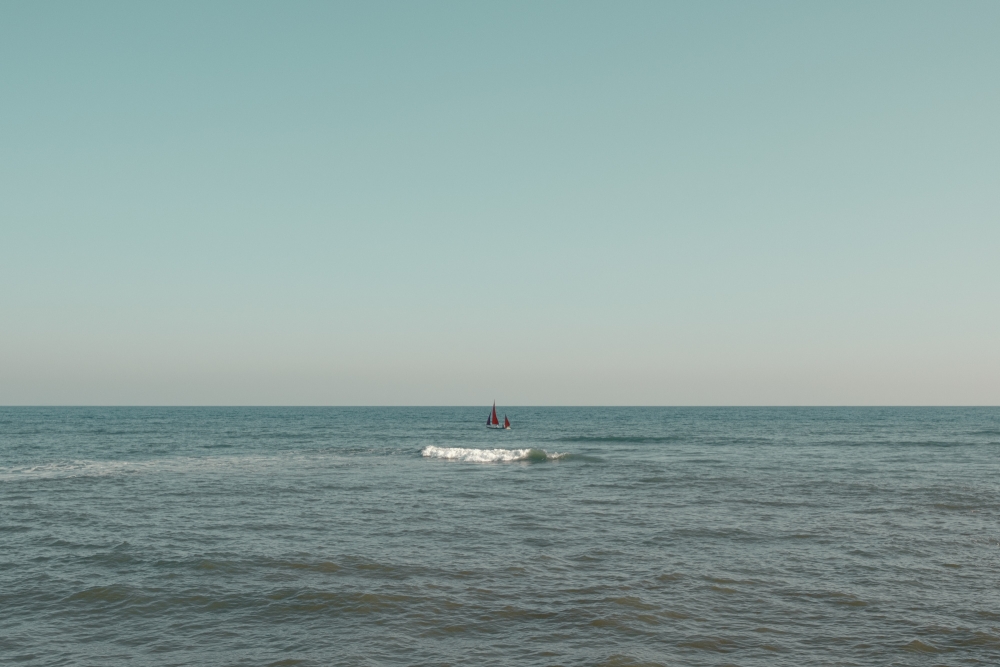 Reef Wave