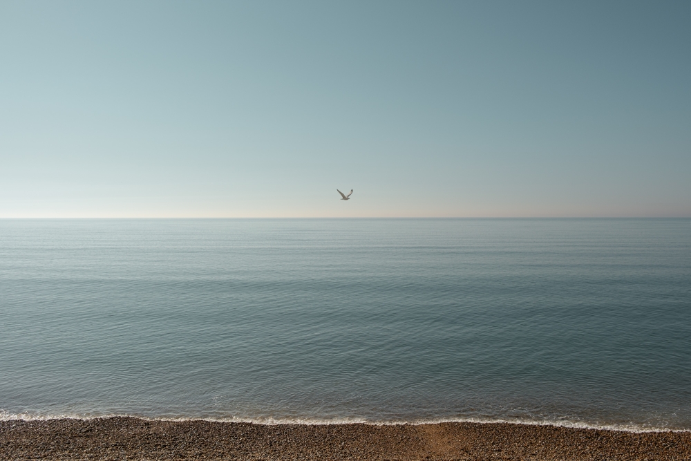 Flying Solo