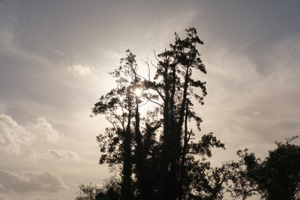 Weather Change