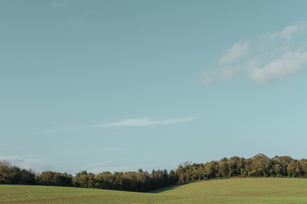 Late Light Fields III