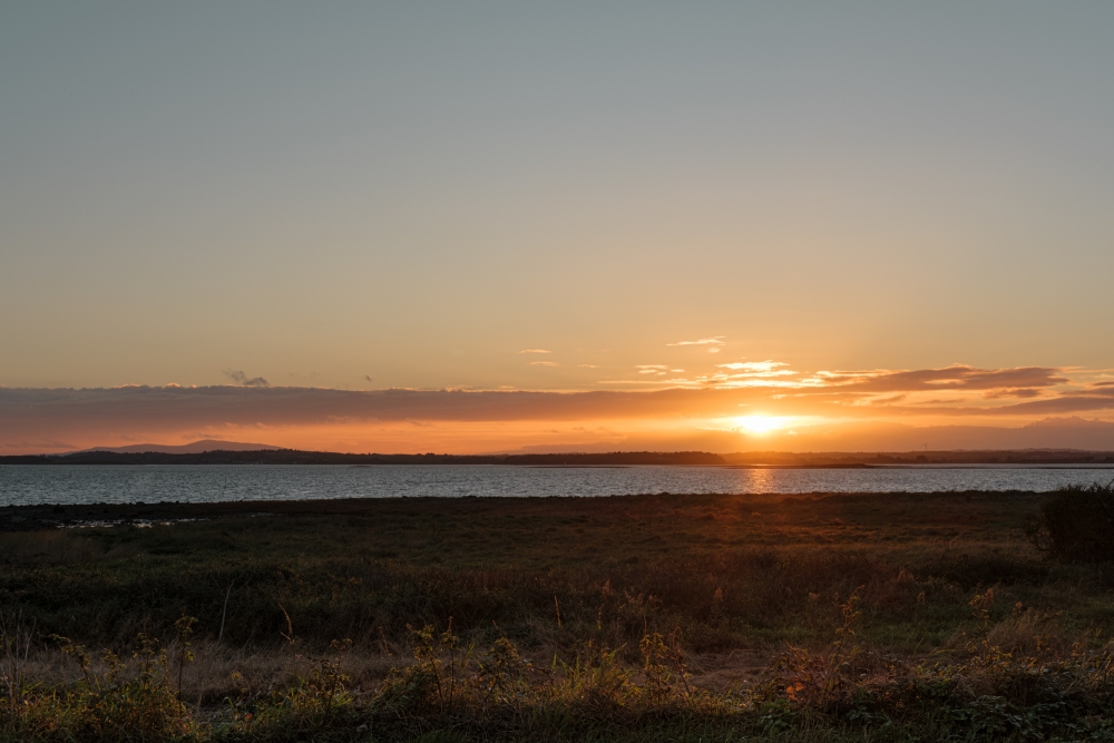 Strangford Sundown