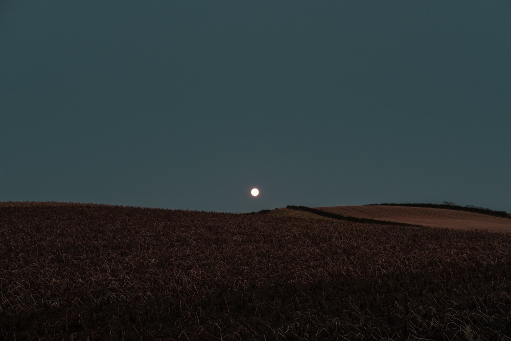 Hunter's Moon Hillside II