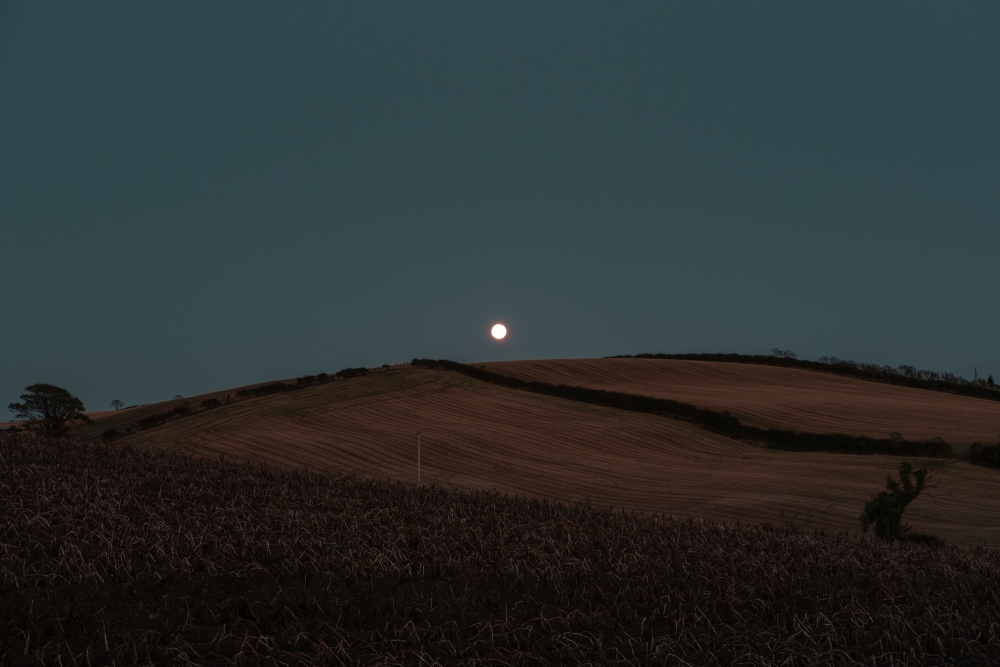 Hunter's Moon Hillside I