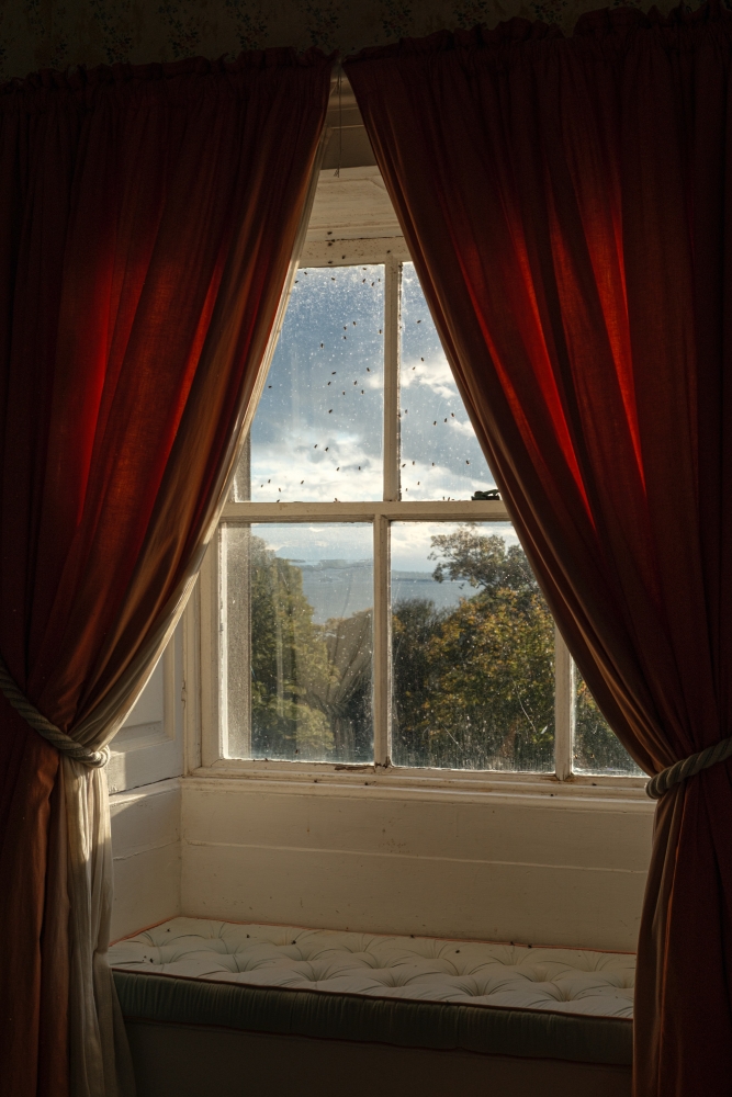 Golden Hour Window Seat