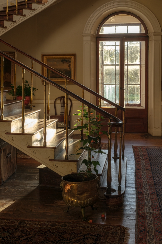 Late Light Hall