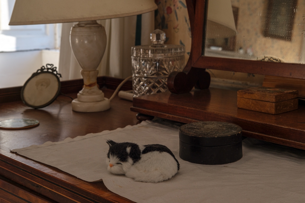 Dressing Table Companion
