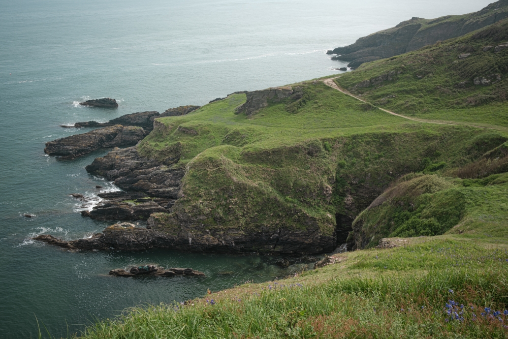 Ivy Cove I