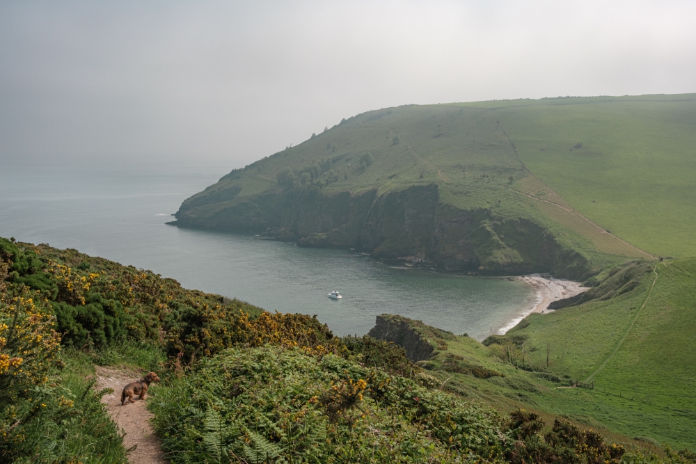 Scabbacombe Sands