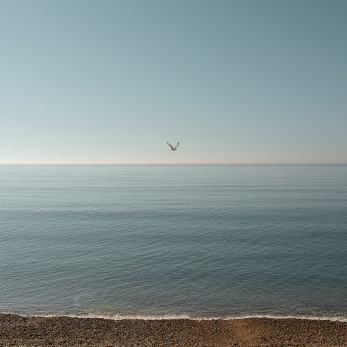 Flying Solo