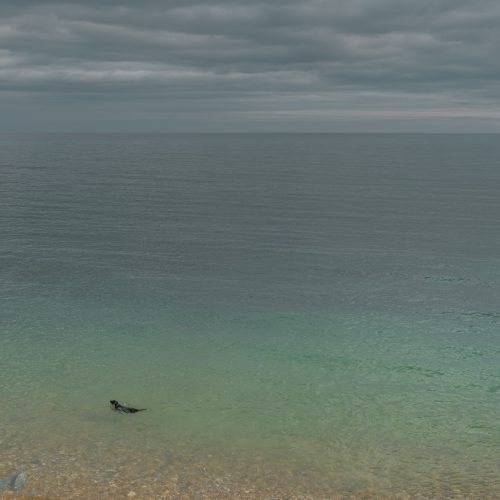 Aqua Therapy (v1)
