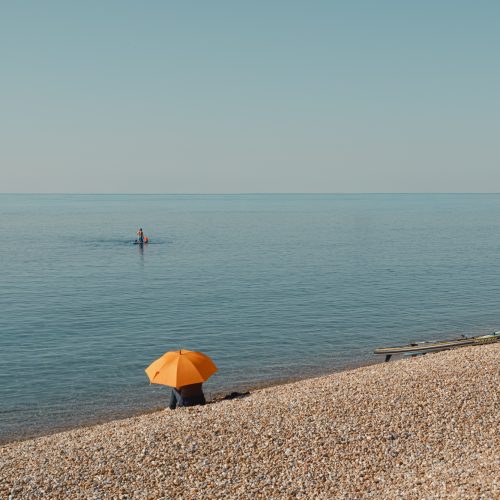 Shoreline observer