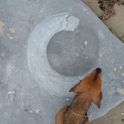 Set in stone