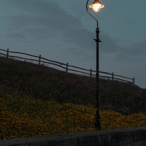 Wildflower Lamplight