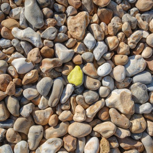 Odd one out