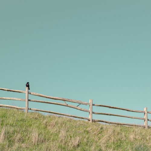 Observation Post