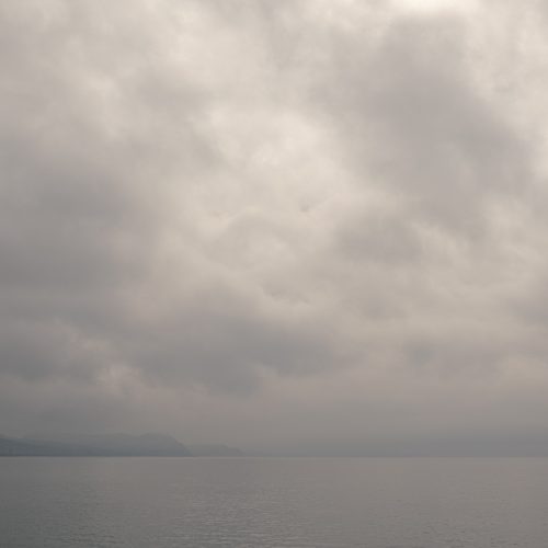Monotone Morning