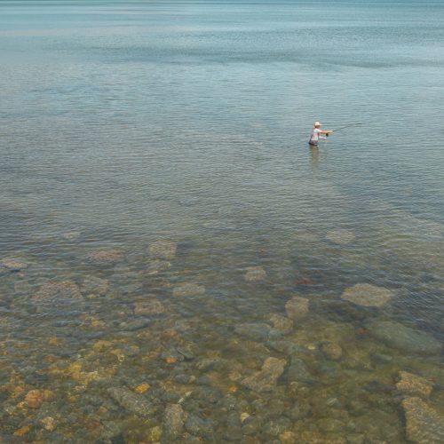 The gentle art of flyfishing I