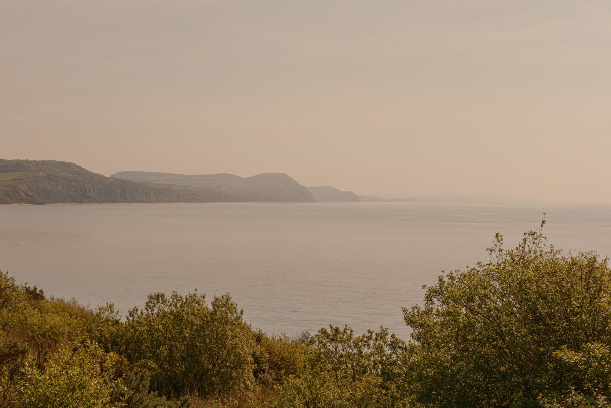 Sunlit view over the coast and sea from the Charmouth Road car park path to Church Cliff Walk Lyme Regis 09_05_24