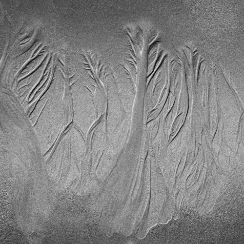 Sand Light Studies 2 (mono)