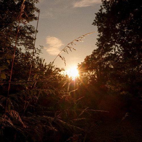 Midsummer Sundowner 2