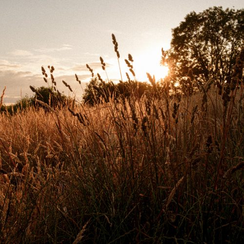 Midsummer Sundowner 1