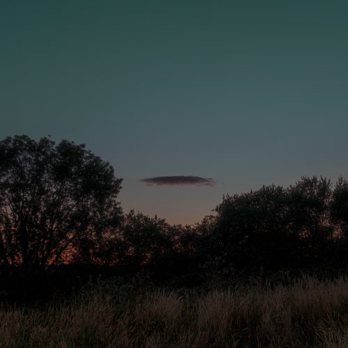 Solo Twilight