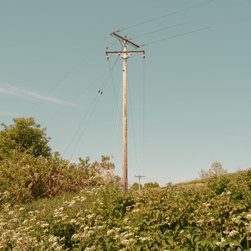 Summer Telegraph I