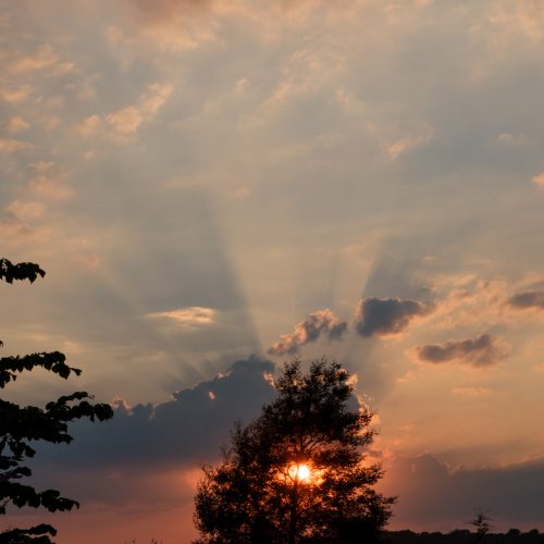 Sunset Fanlight