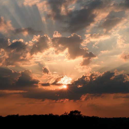 Sunset Vista
