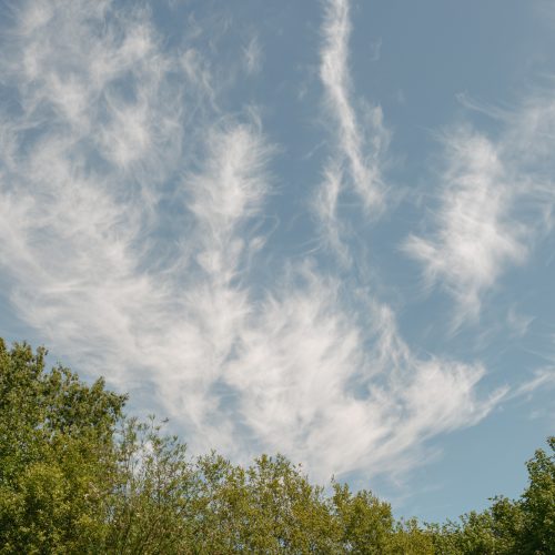 Summer Cirrus
