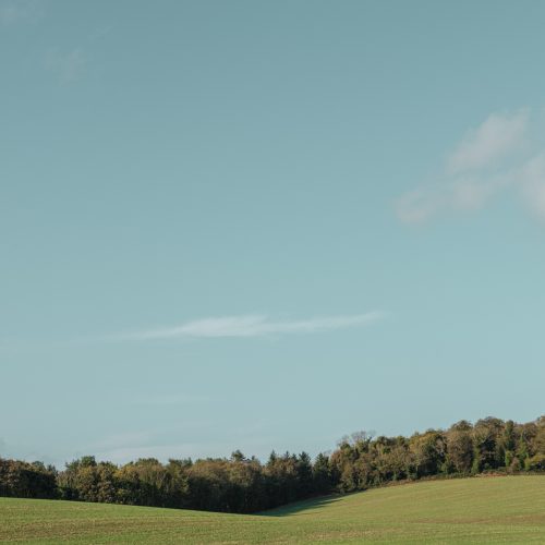 Late Light Fields III