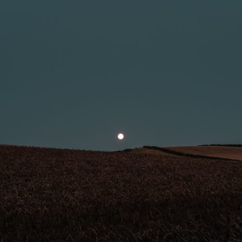 Hunter's Moon Hillside II