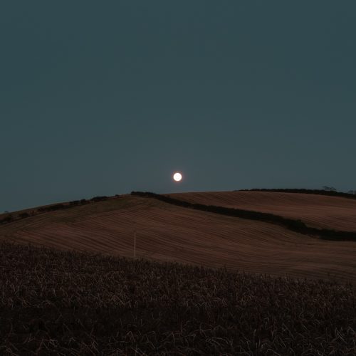 Hunter's Moon Hillside I