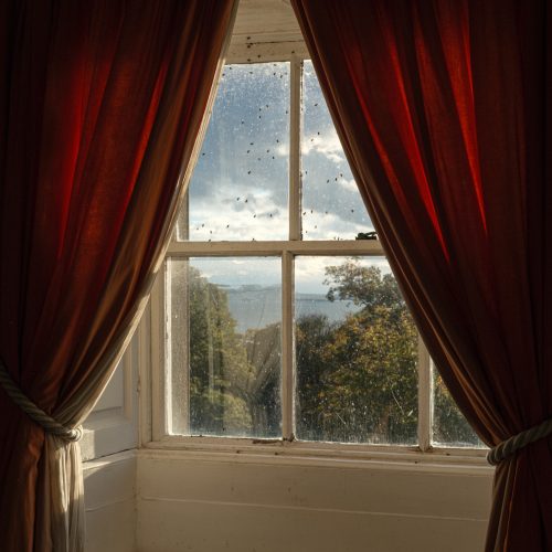 Golden Hour Window Seat