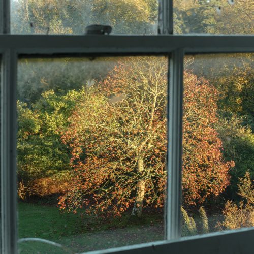 Golden Hour Outlook I