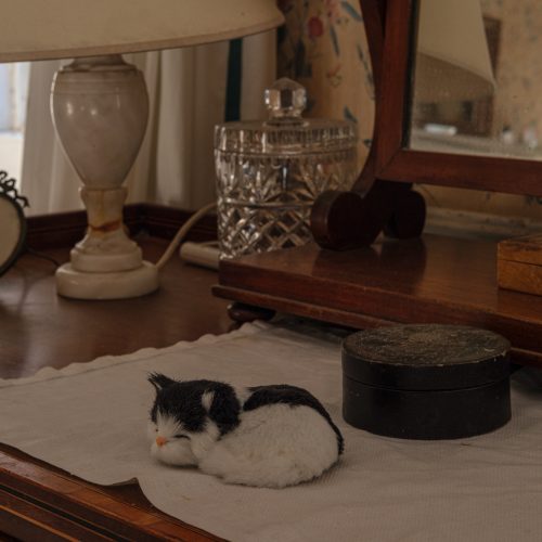 Dressing Table Companion