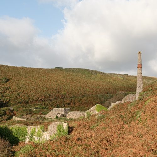 Kenidjack Arsenic Works III