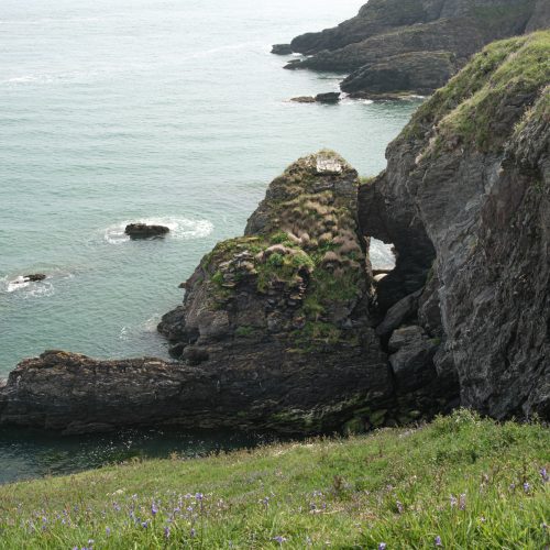 Cliff Portal, Ivy Cove