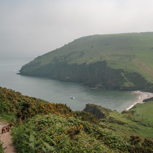 Scabbacombe Bay & Sands