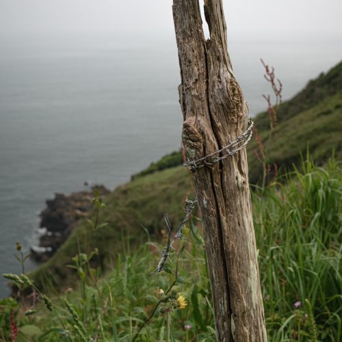 Weathered Post, Scabbacombe Head